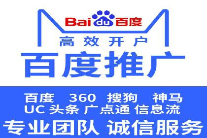 网络推广与竞价广告：双管齐下的策略案例